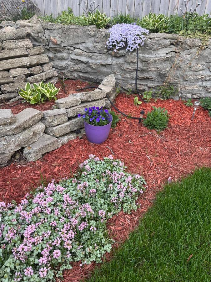 Cozy Cape Cod Villa Grand Rapids Buitenkant foto