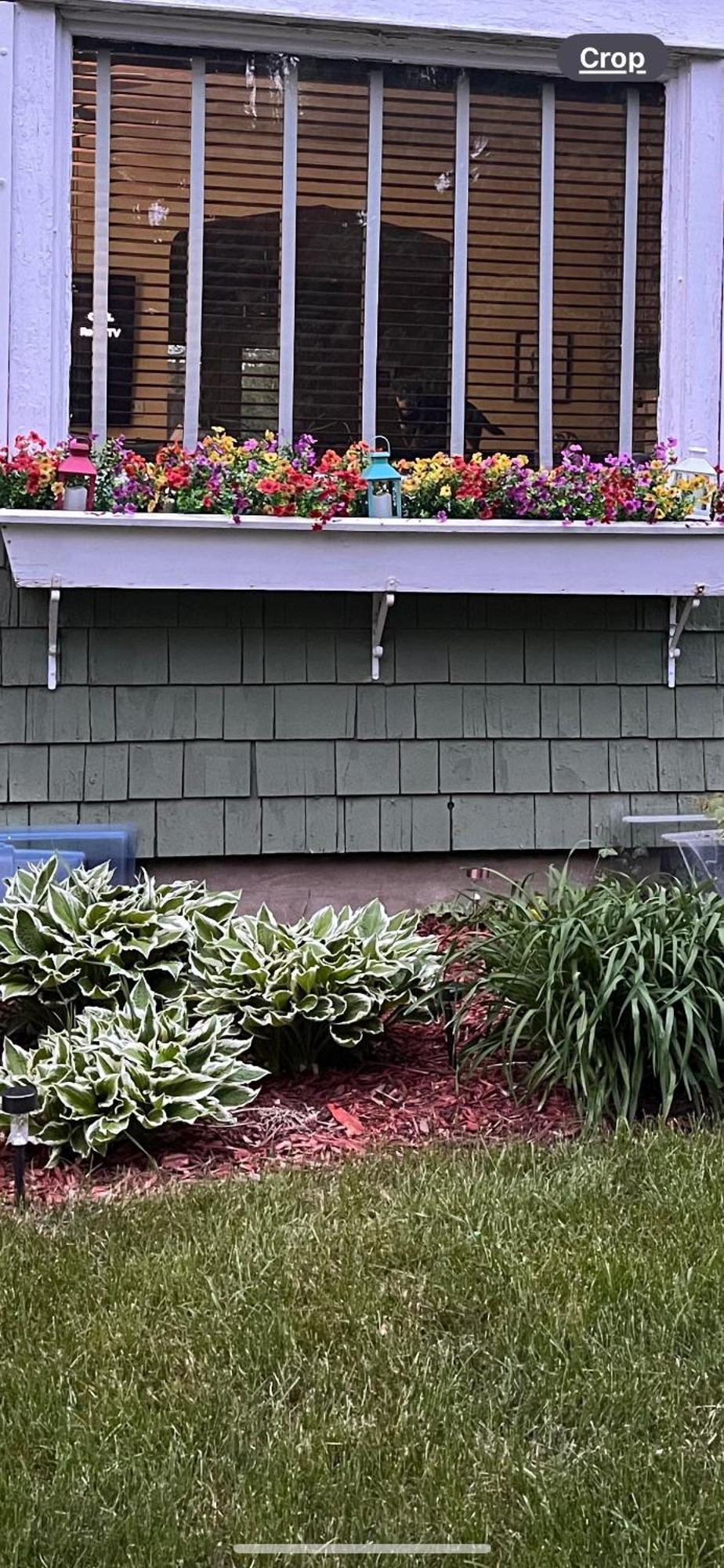 Cozy Cape Cod Villa Grand Rapids Buitenkant foto
