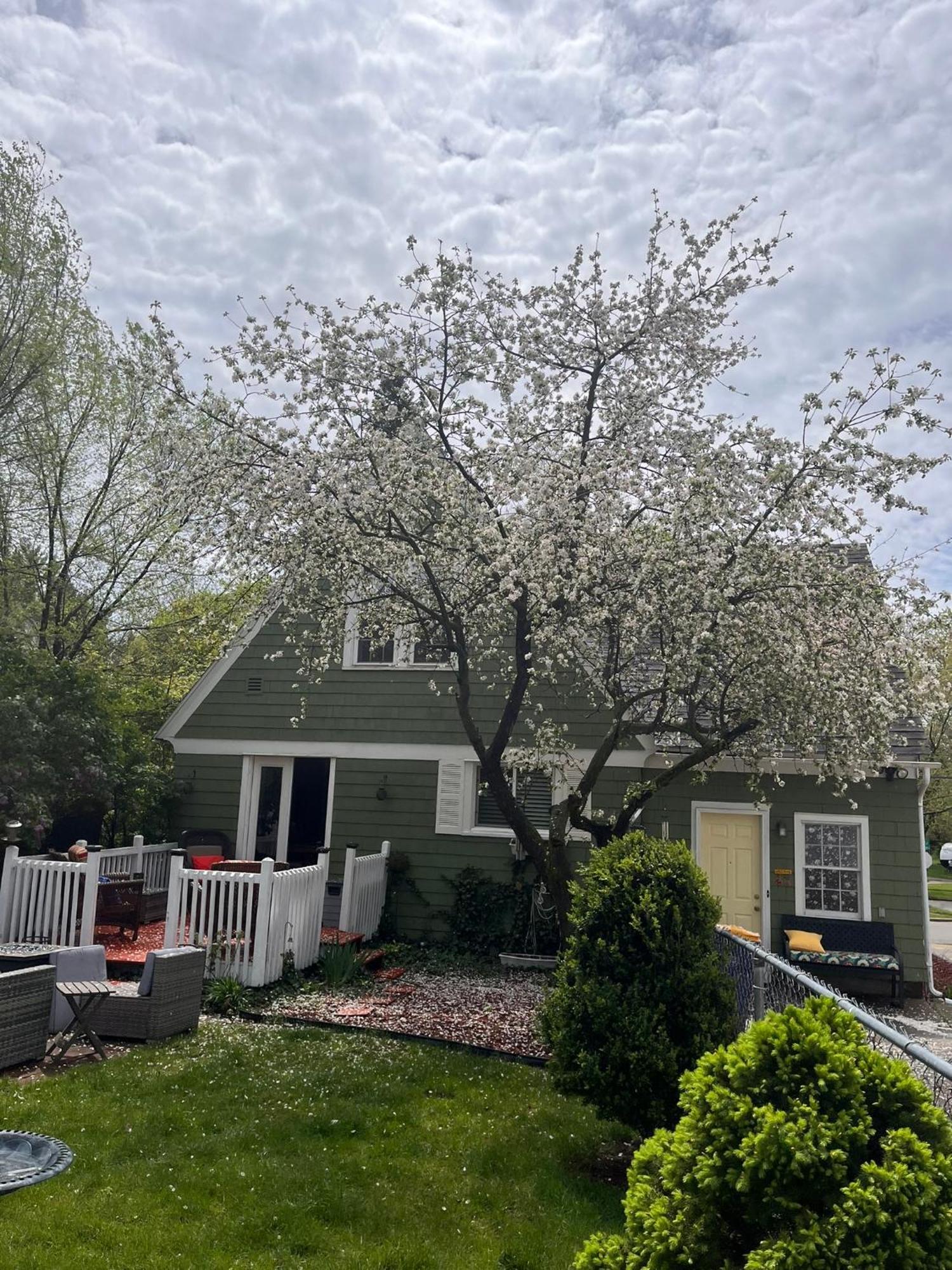 Cozy Cape Cod Villa Grand Rapids Buitenkant foto